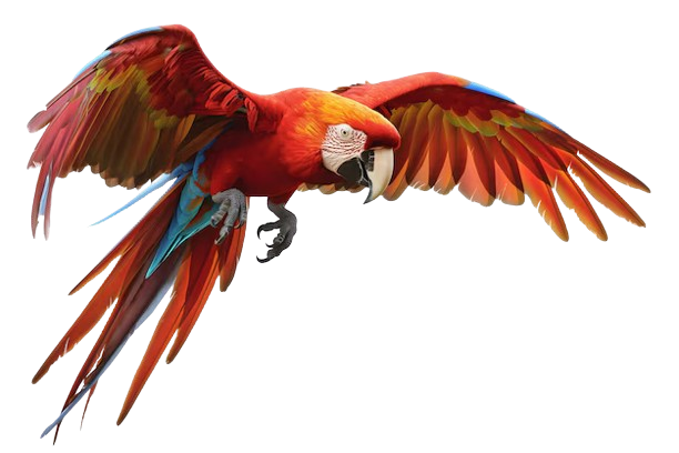 Federação%20do%20Povo%20Huni%20Kui%20do%20Acre%20–%20FEPHAC