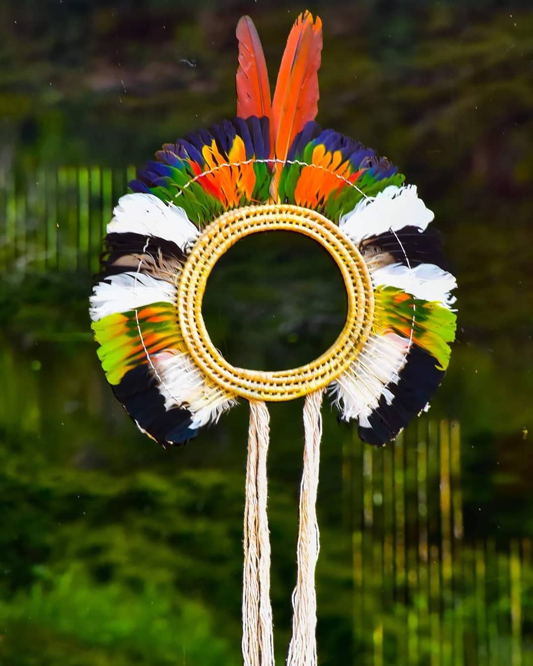 Federação%20do%20Povo%20Huni%20Kui%20do%20Acre%20–%20FEPHAC