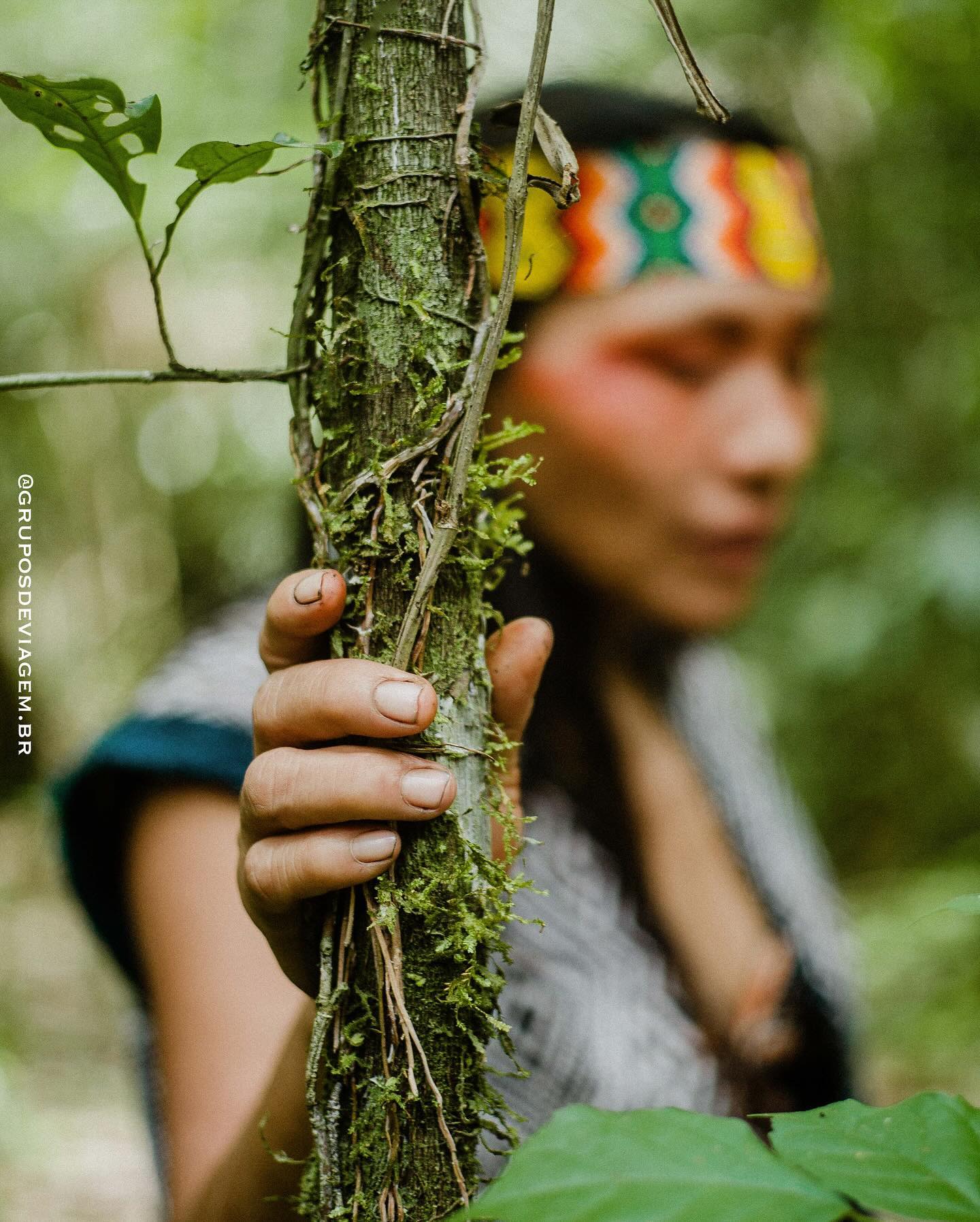 Federação%20do%20Povo%20Huni%20Kui%20do%20Acre%20–%20FEPHAC